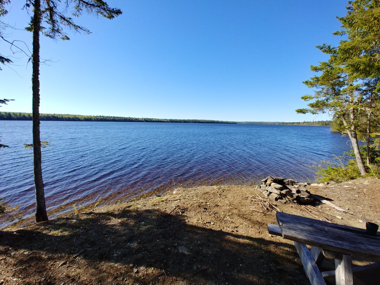 20200523_075221_HDR.jpg