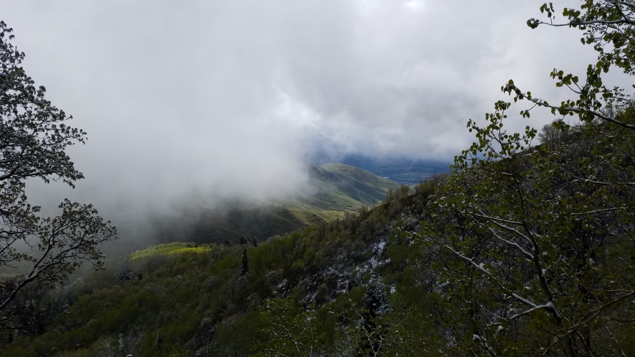 20200523_101214.jpg