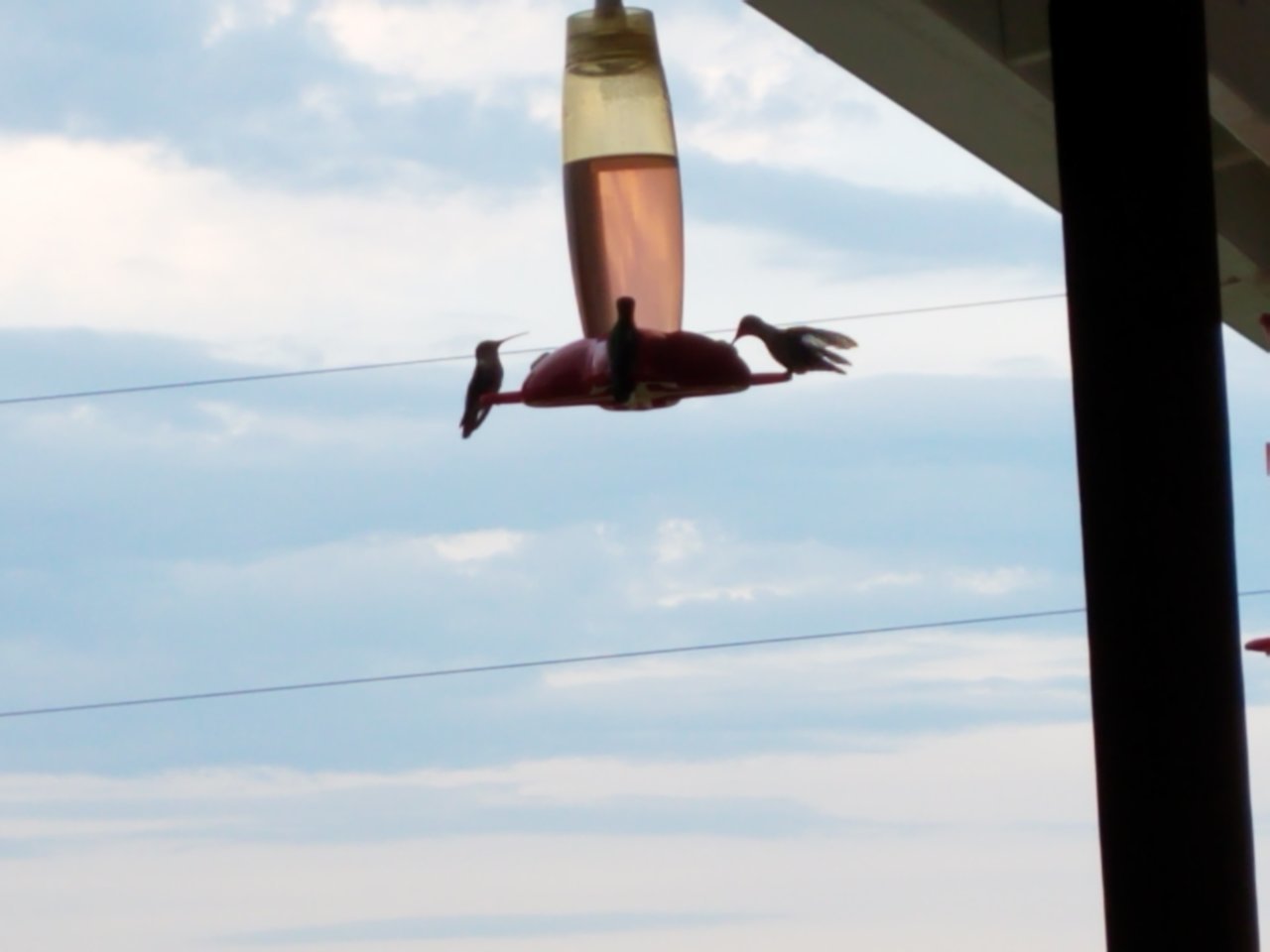 20200523_193803.jpg