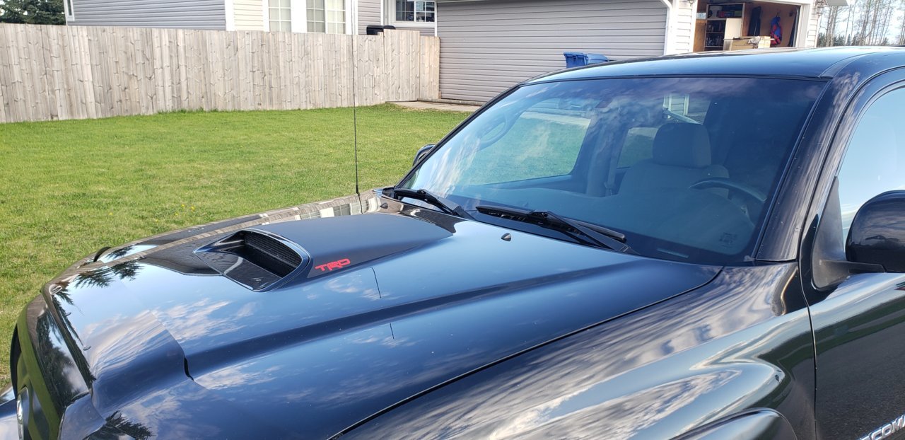 2nd Gen Anti Glare Hood Scoop Decal - Shipping Now | Page 20 | Tacoma World