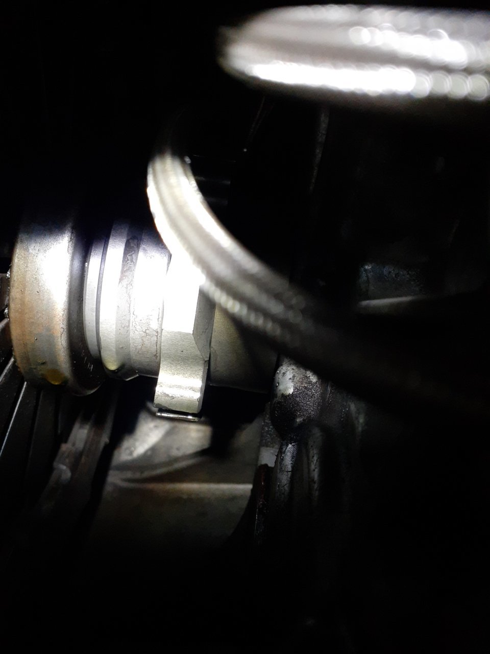 20200524_070631.jpg
