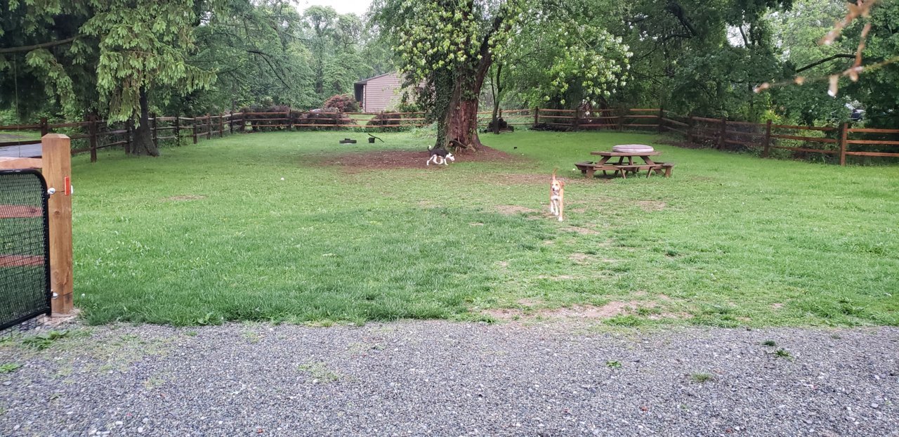 20200529_201029.jpg