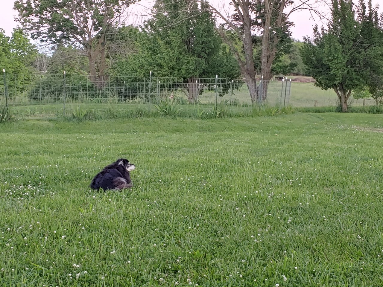 20200529_203959_HDR.jpg