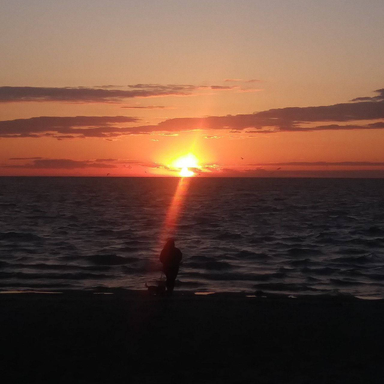 20200529_211030_HDR.jpg
