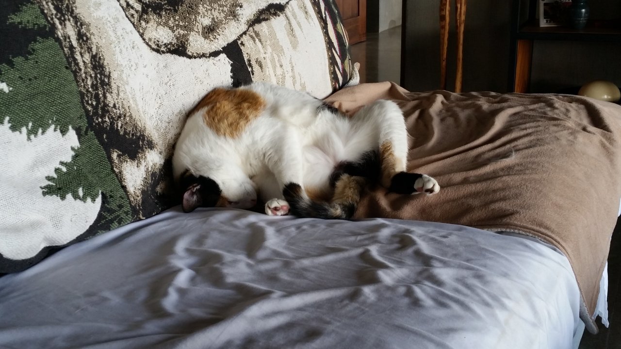 20200531_104514.jpg