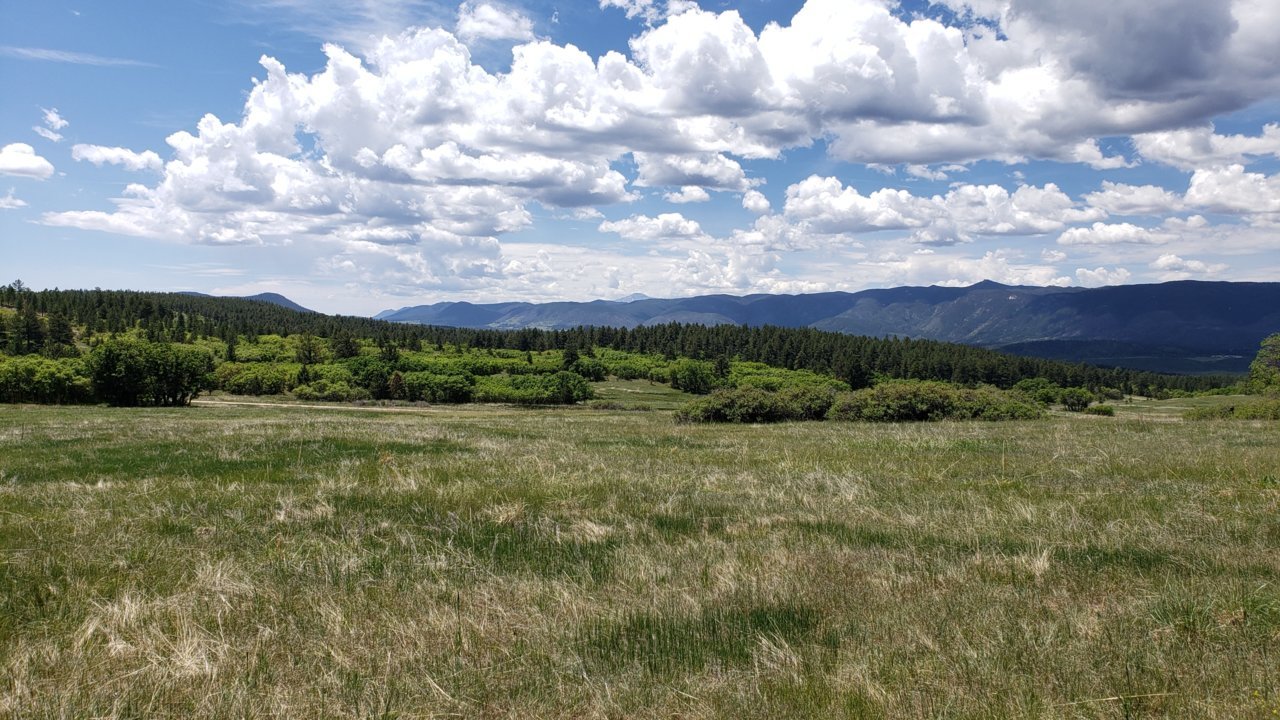 20200531_115517.jpg