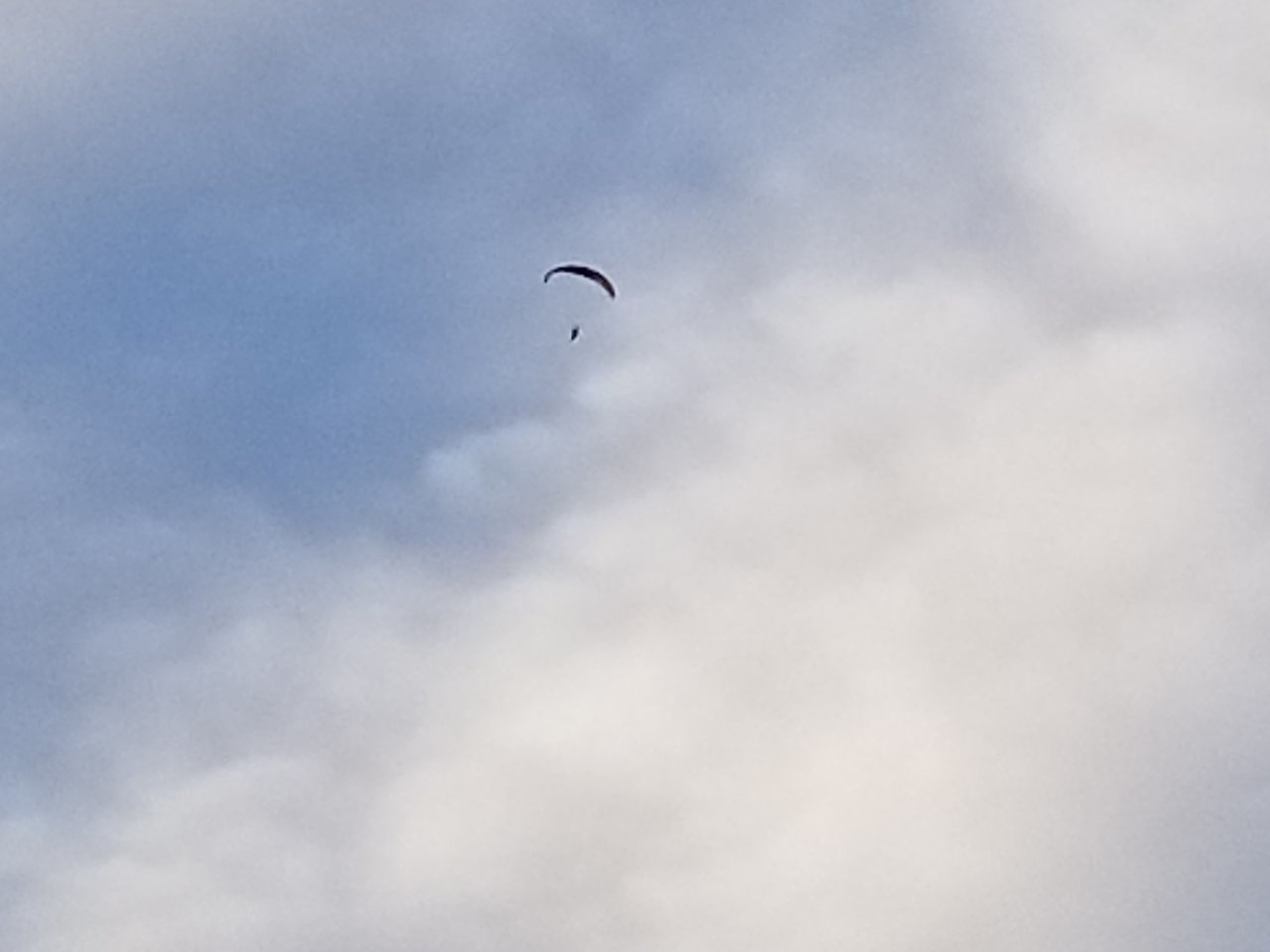 20200602_205319.jpg