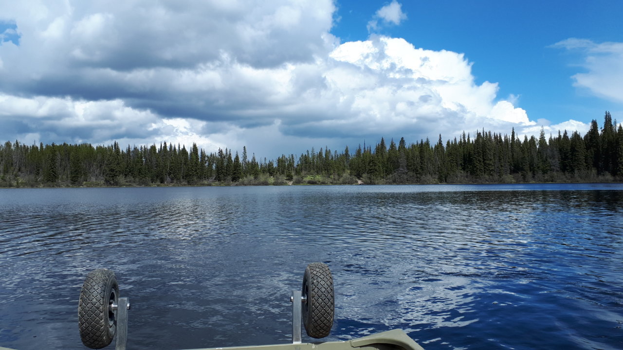 20200604_141620.jpg