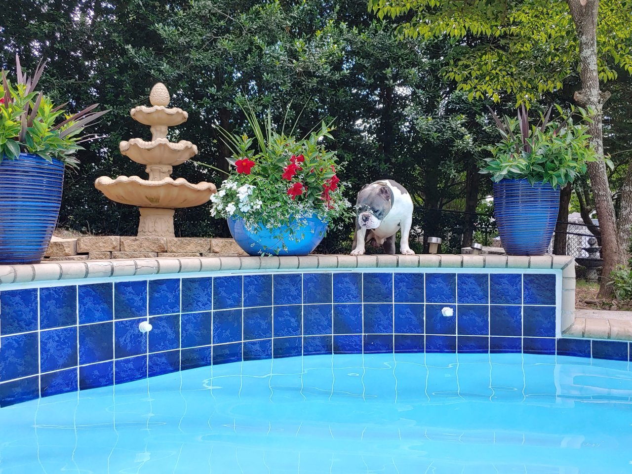 20200604_143044_HDR.jpg