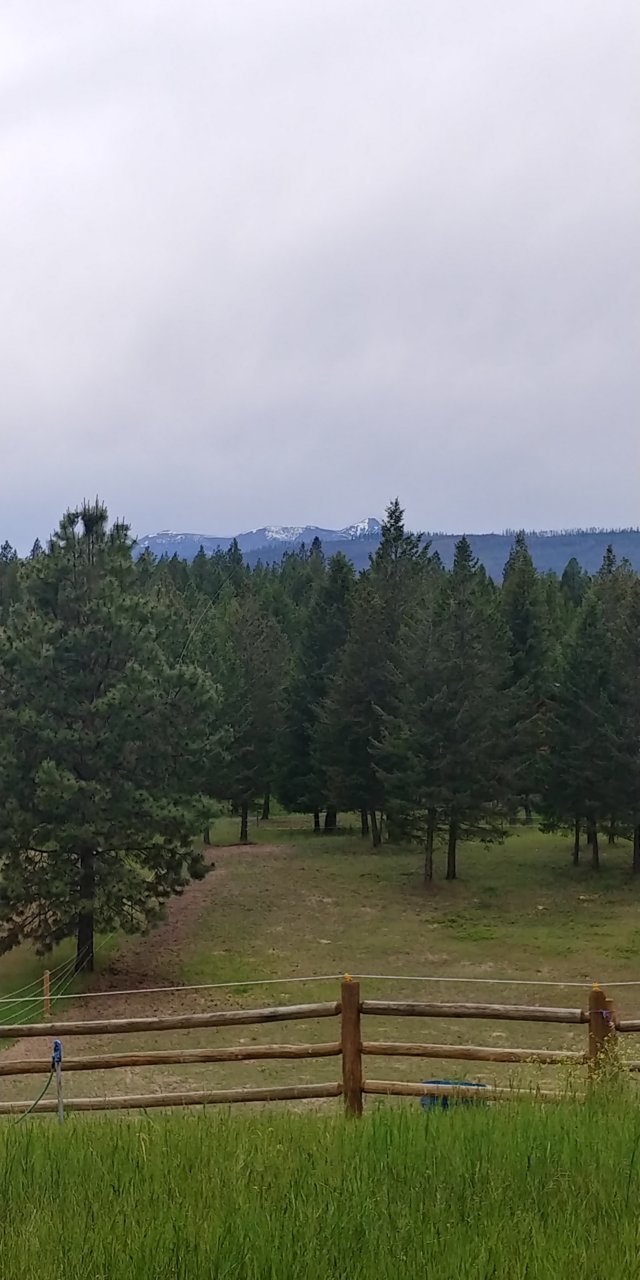 20200605_170216_HDR.jpg