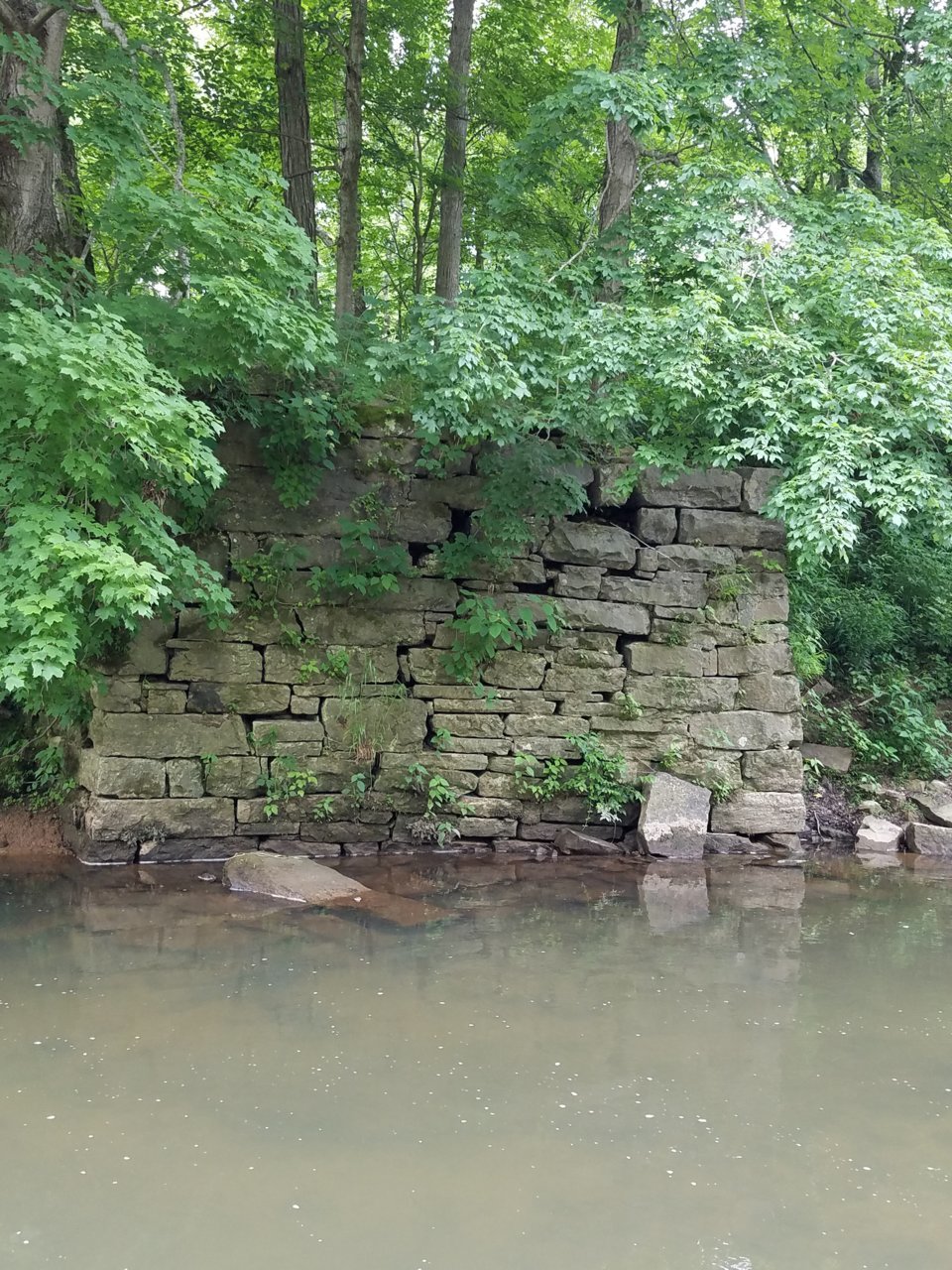 20200605_173008.jpg