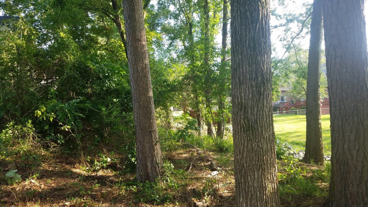 20200605_174446.jpg