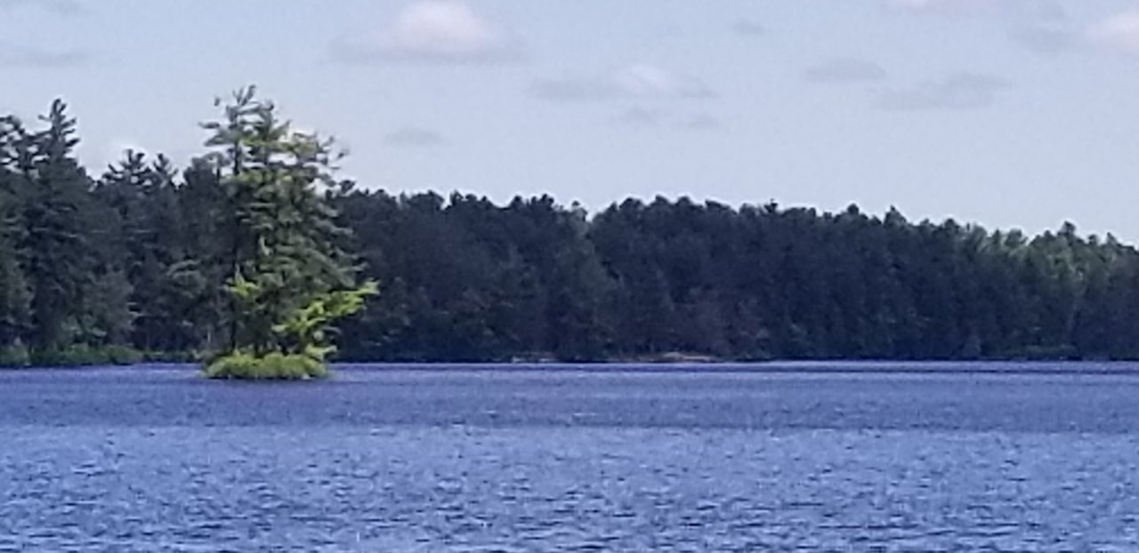 20200607_130808.jpg
