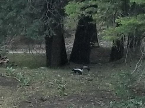 20200607_171921.jpg