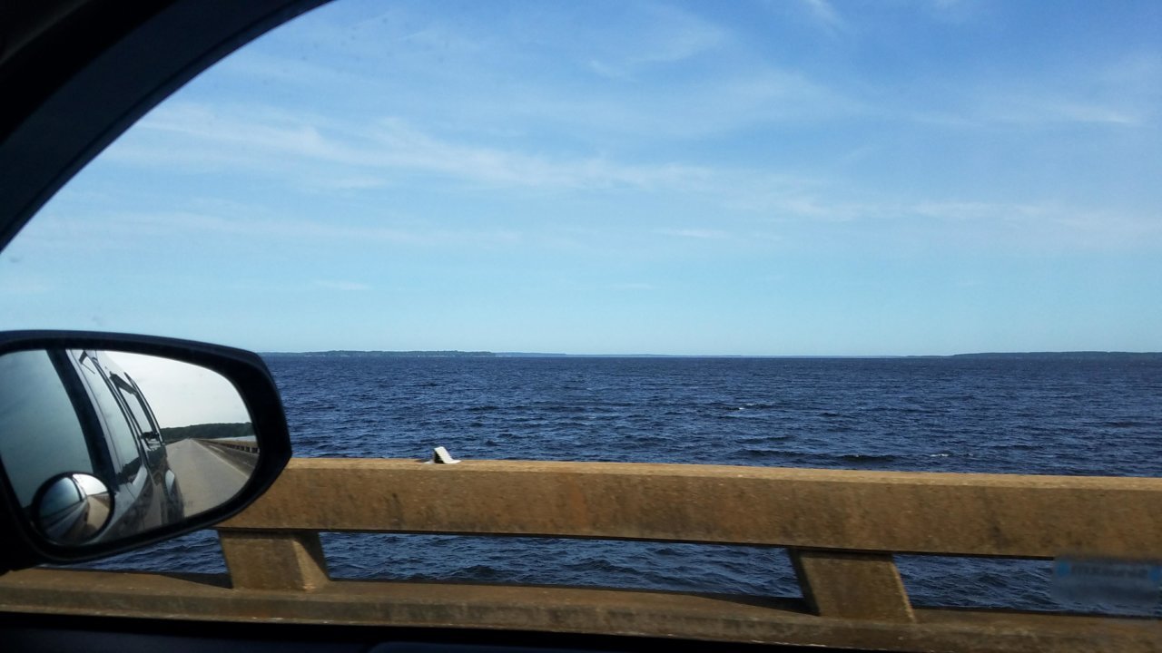 20200610_081340.jpg