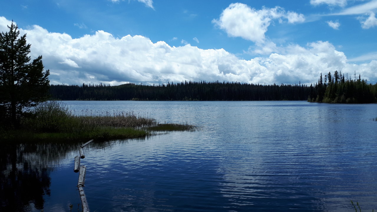 20200610_124351.jpg