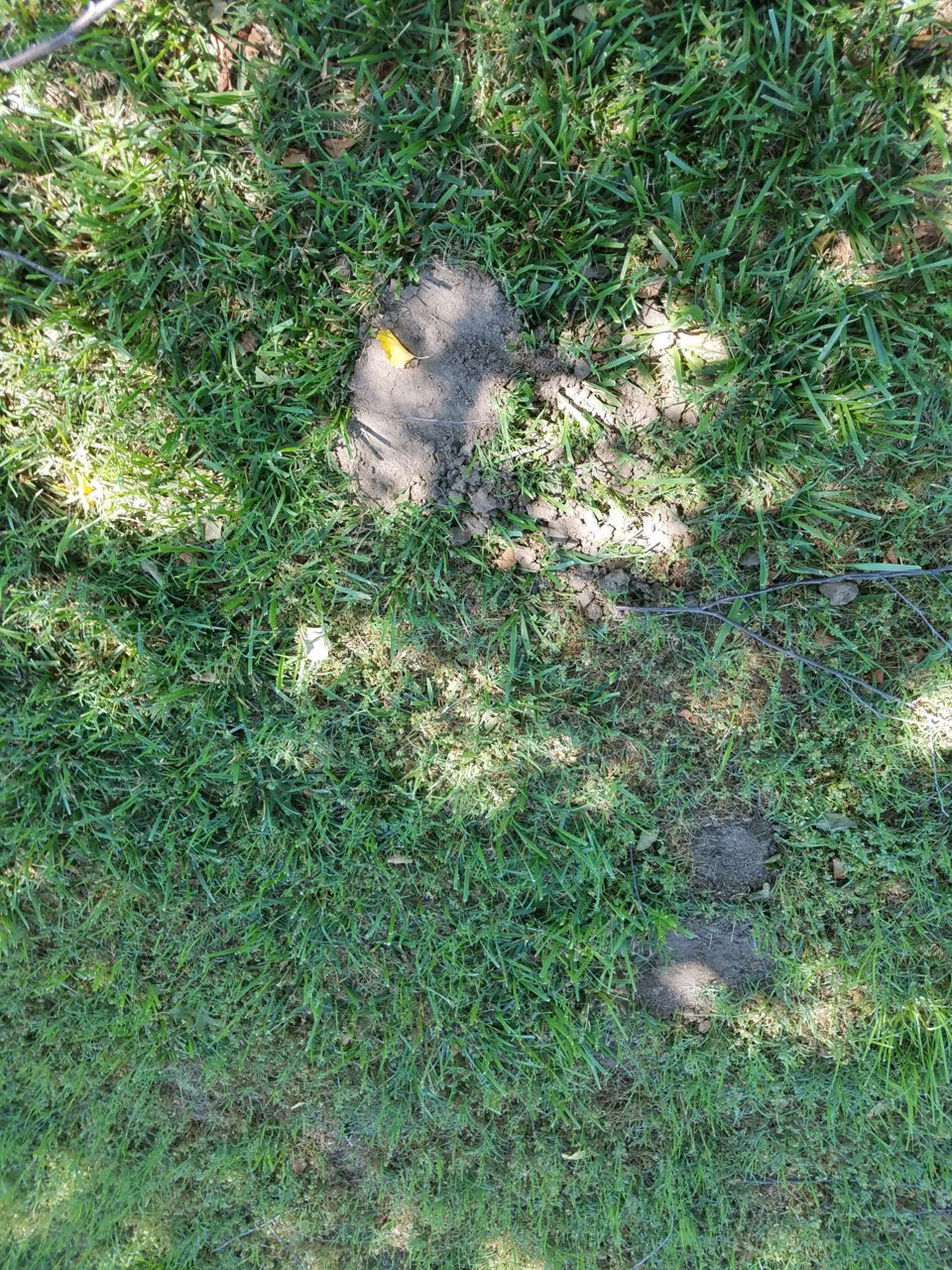 20200611_144651.jpg