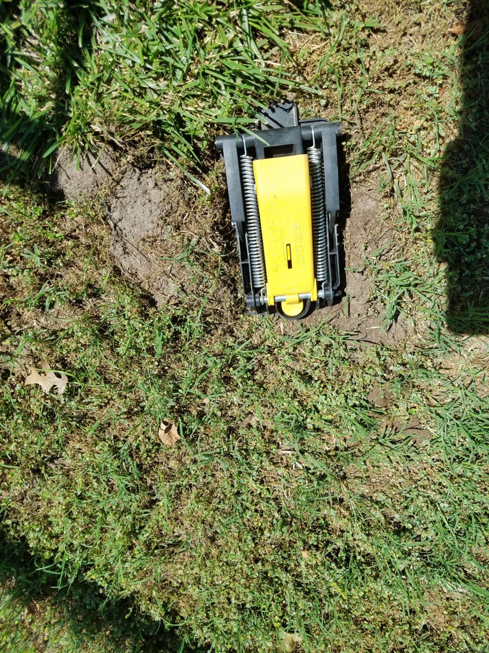 20200611_144854.jpg