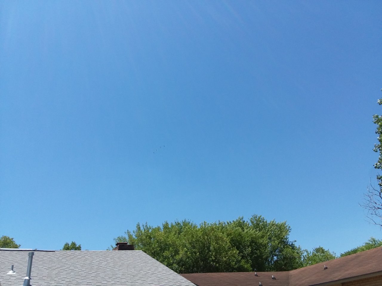 20200613_123442.jpg