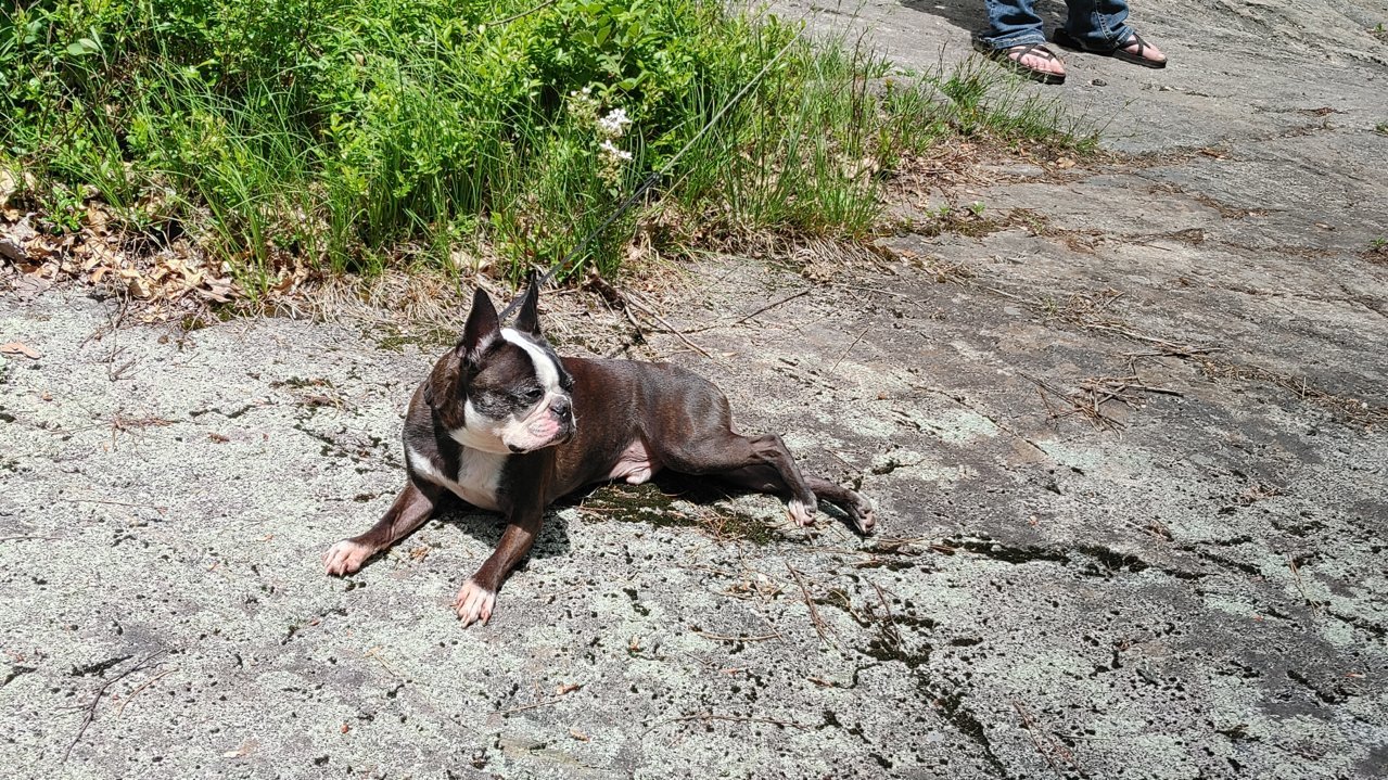 20200613_132037_HDR.jpg