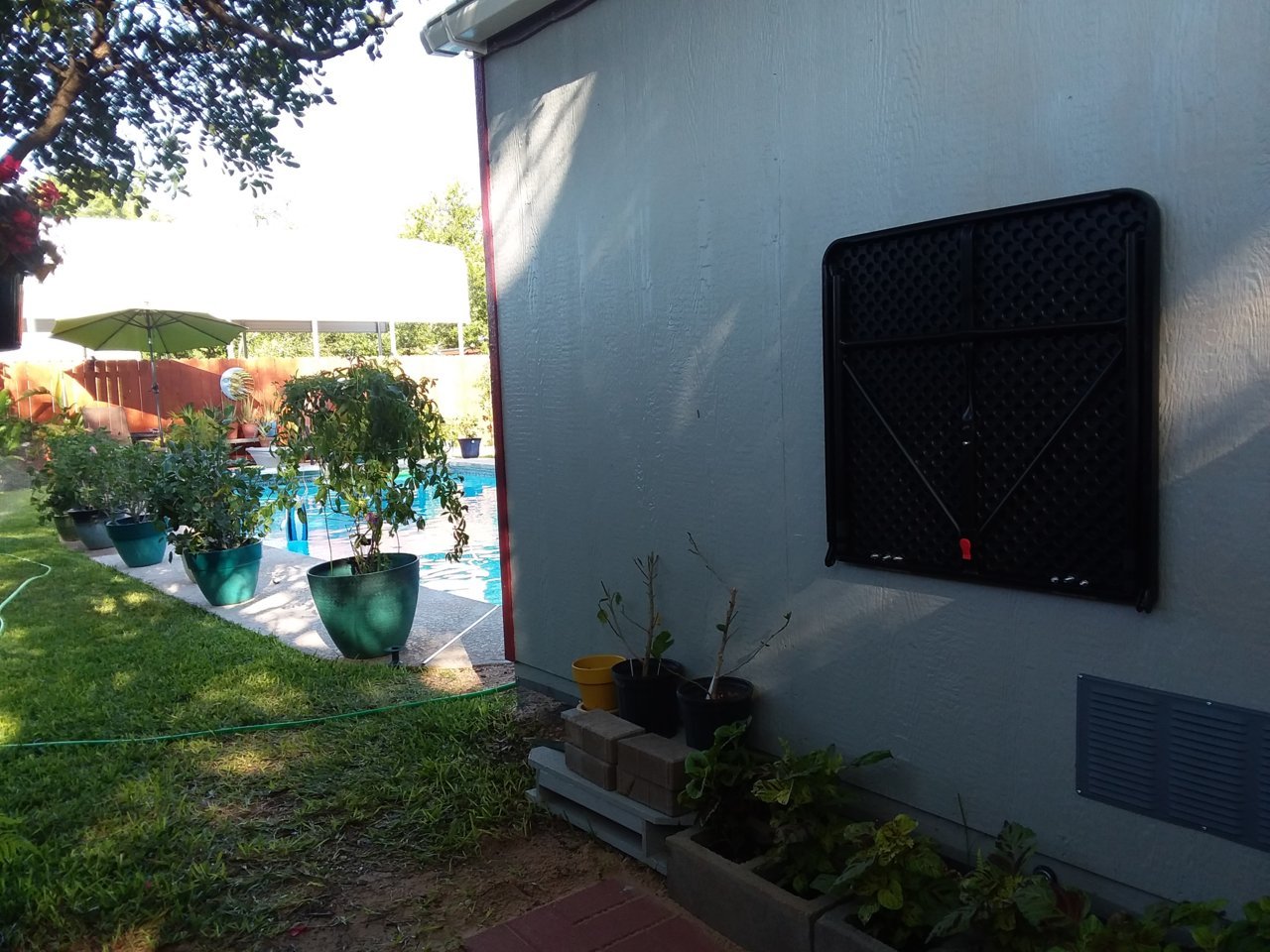 20200613_180510.jpg