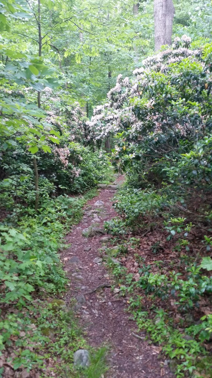 20200614_074838.jpg