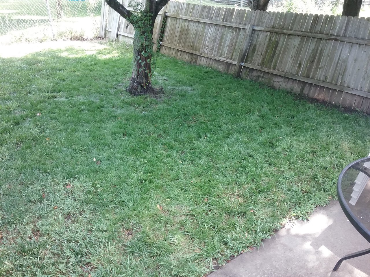20200614_100752.jpg