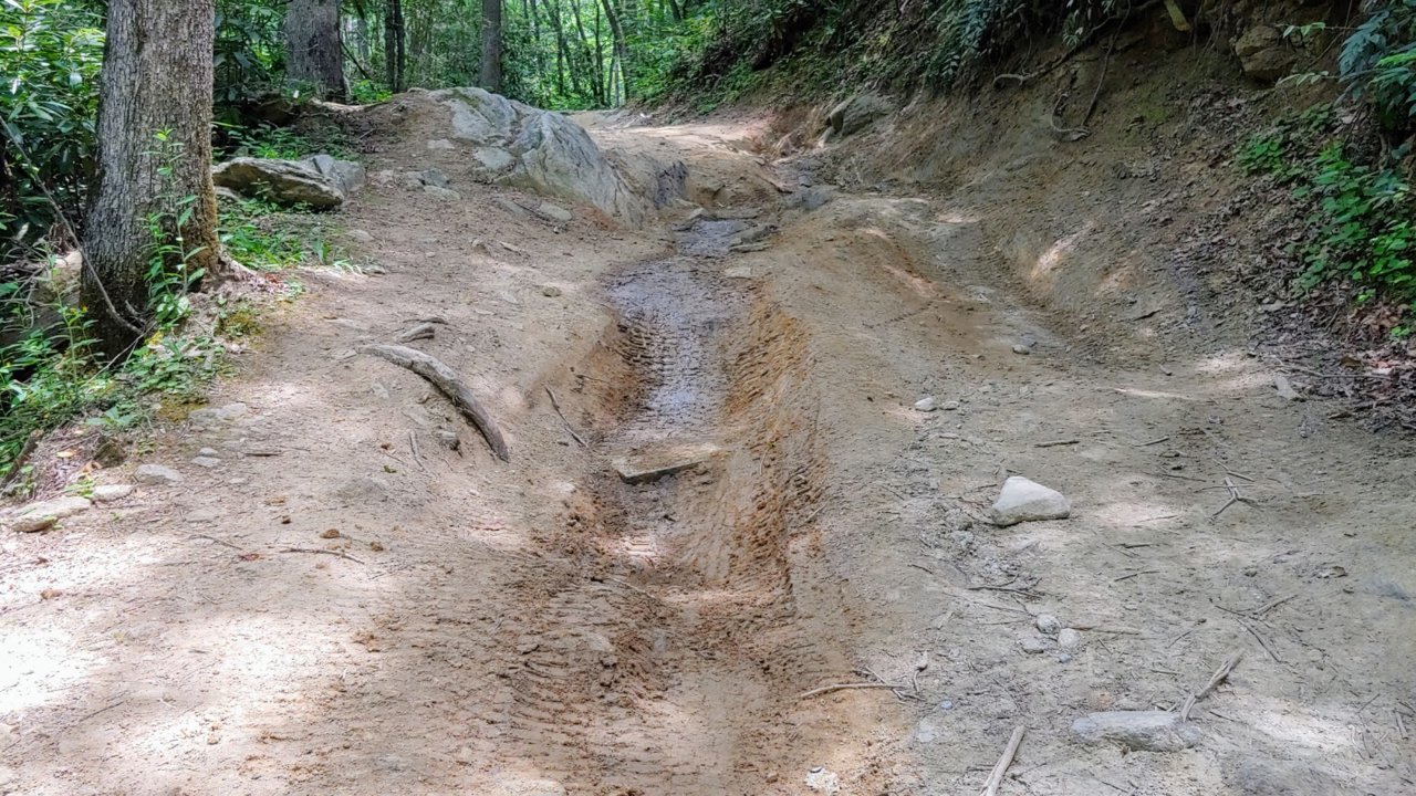 20200614_131309_HDR.jpg