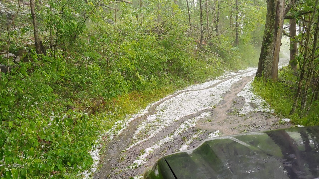 20200614_141428.jpg