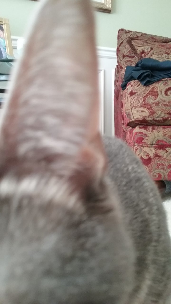 20200614_181917.jpg
