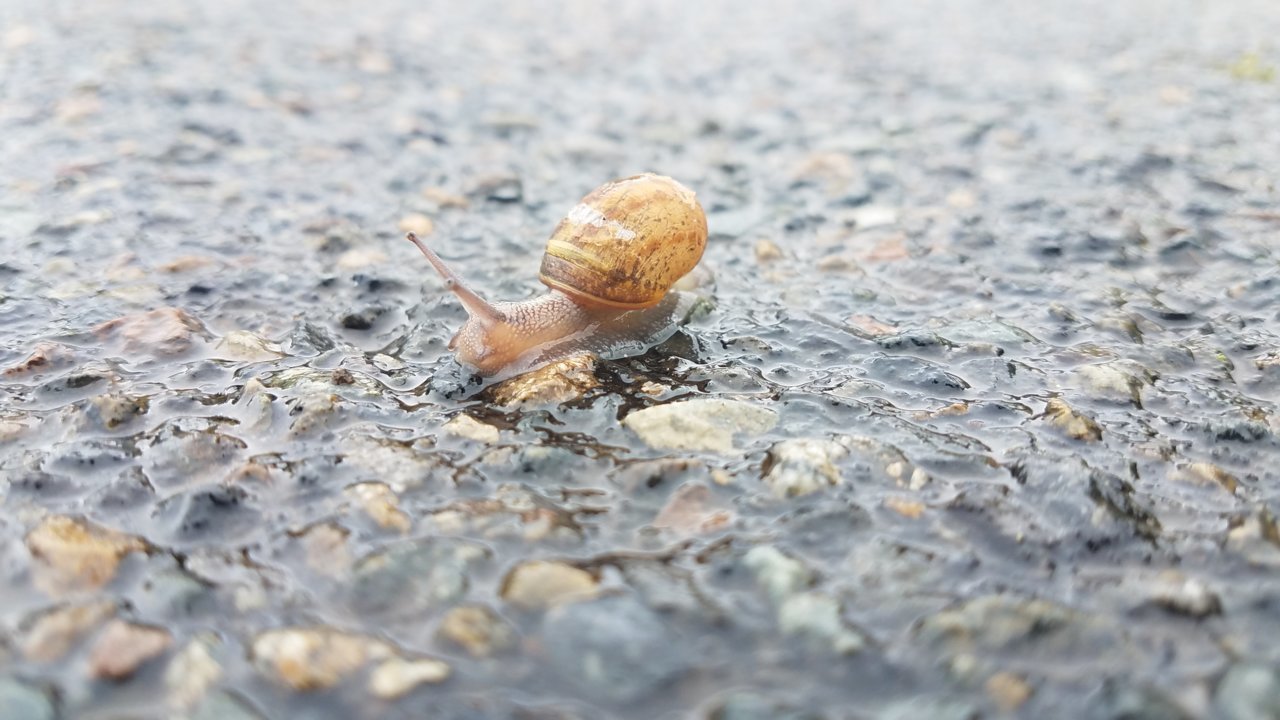 20200615_095712.jpg