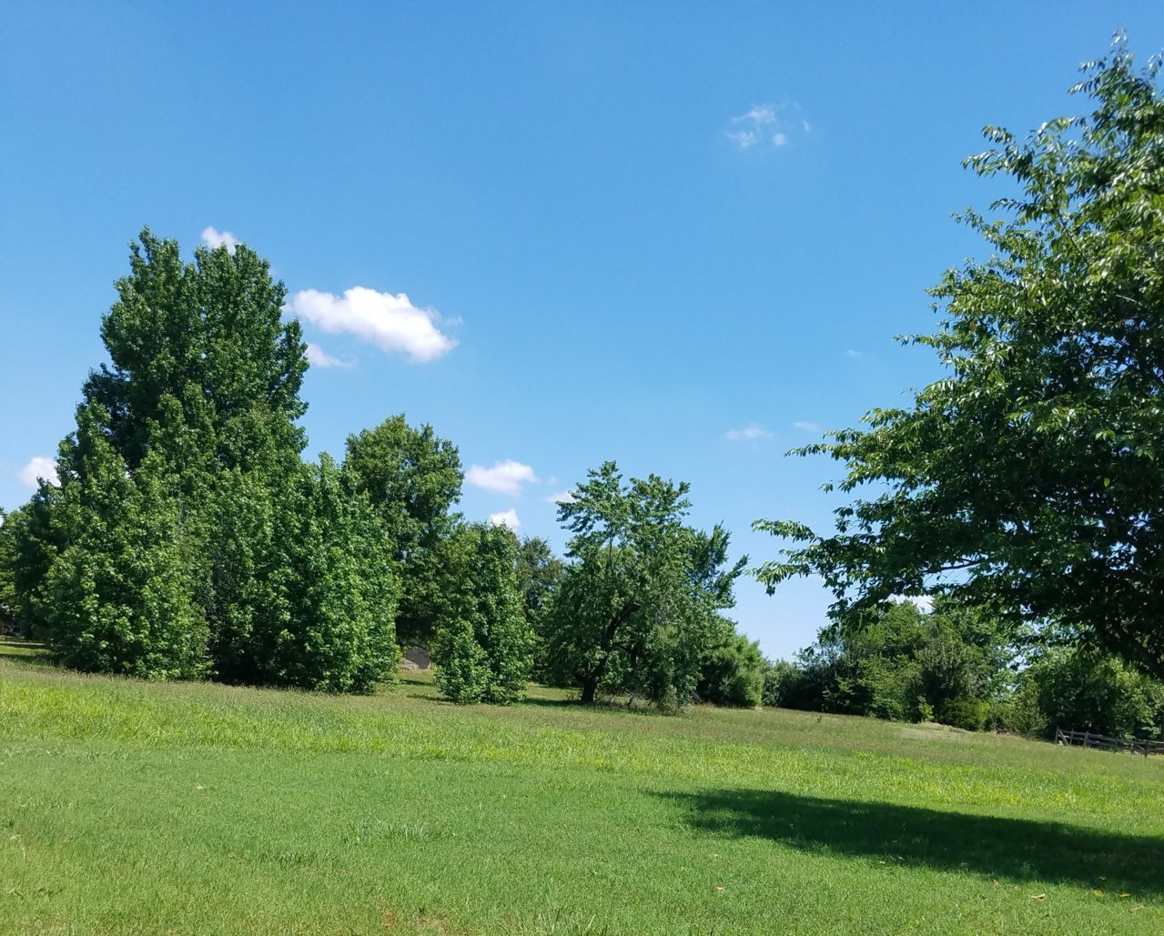 20200616_113917.jpg