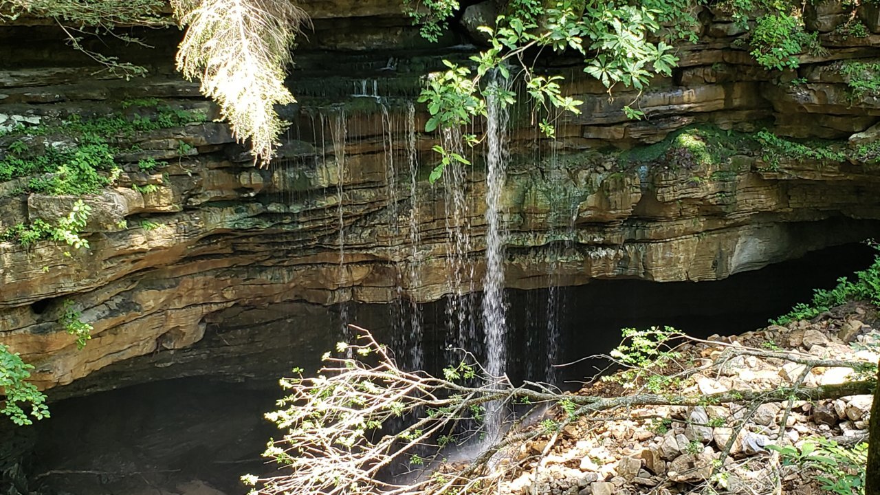20200619_124646.jpg
