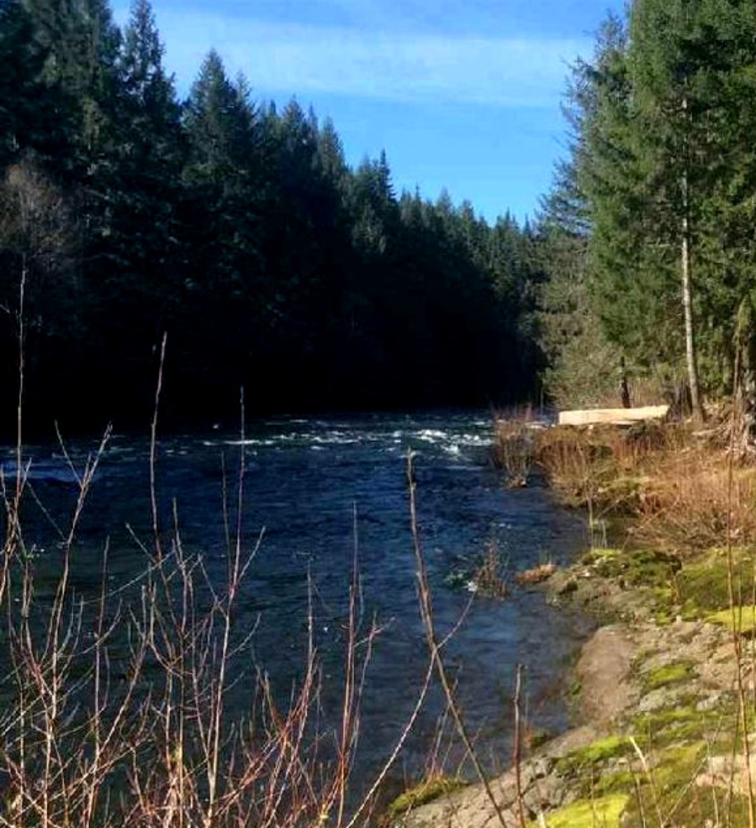 20200619_160134.jpg