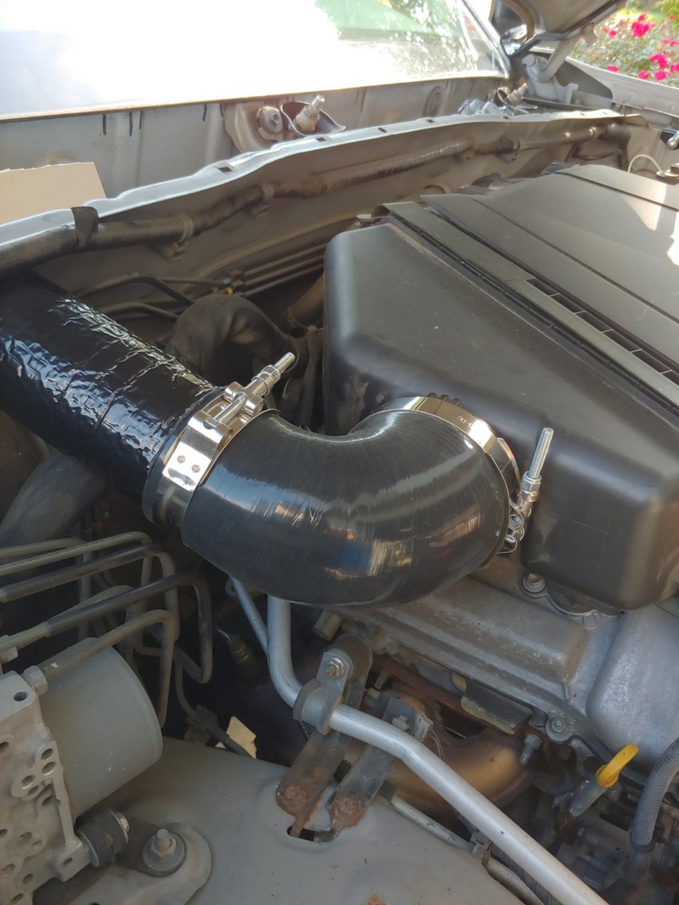 20200619_175923_HDR.jpg