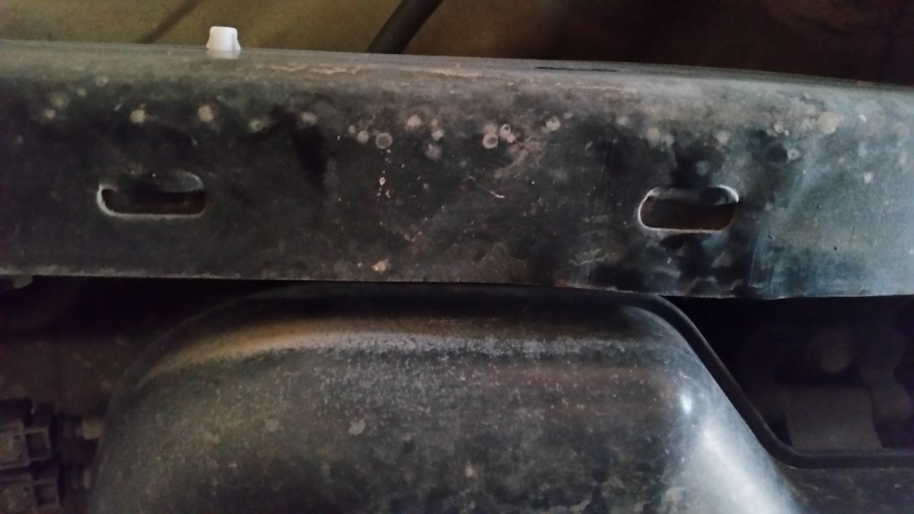 20200621_072851.jpg