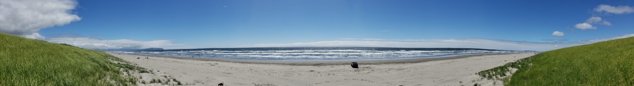 20200621_153609.jpg