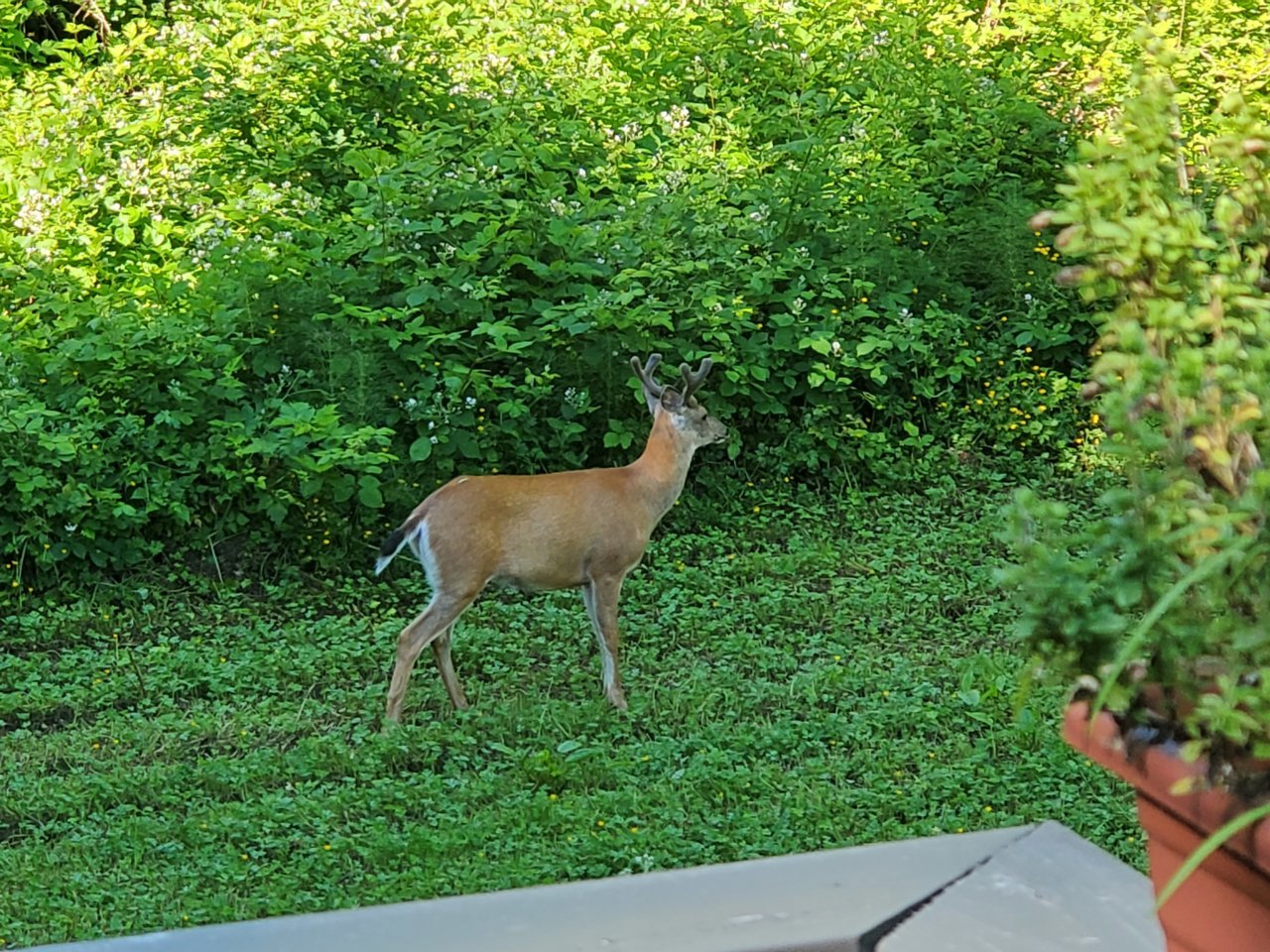 20200622_092400.jpg