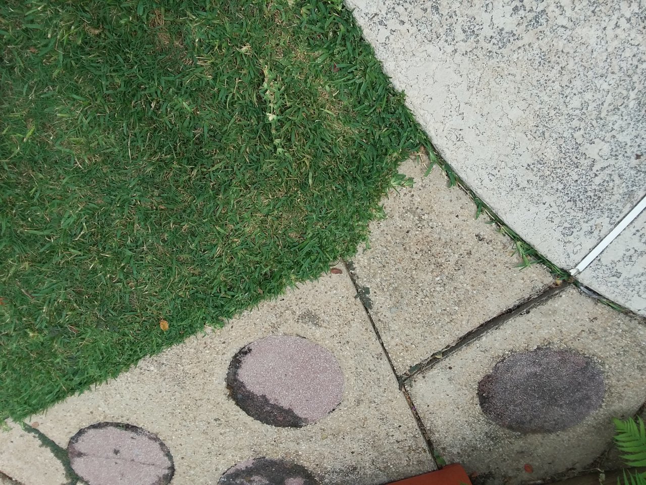 20200622_105753.jpg