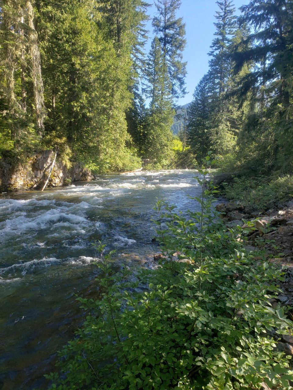 20200623_084101.jpg