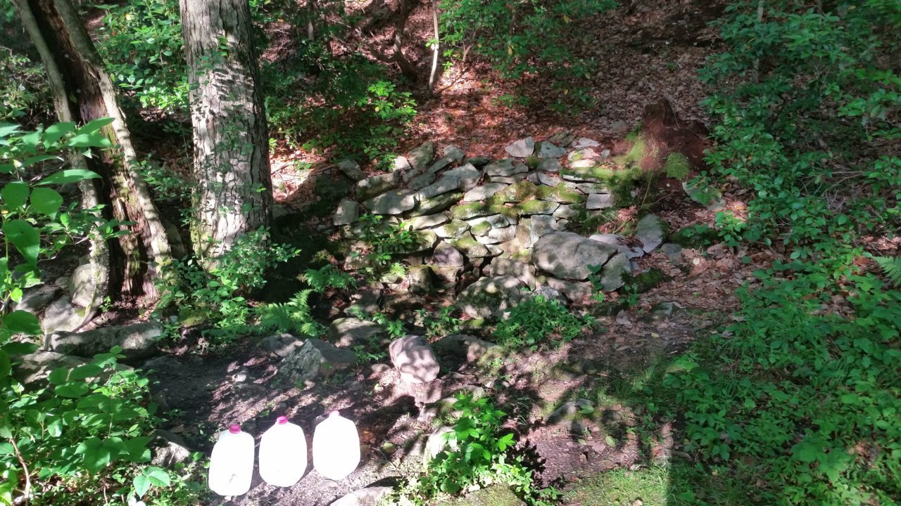 20200624_184246.jpg