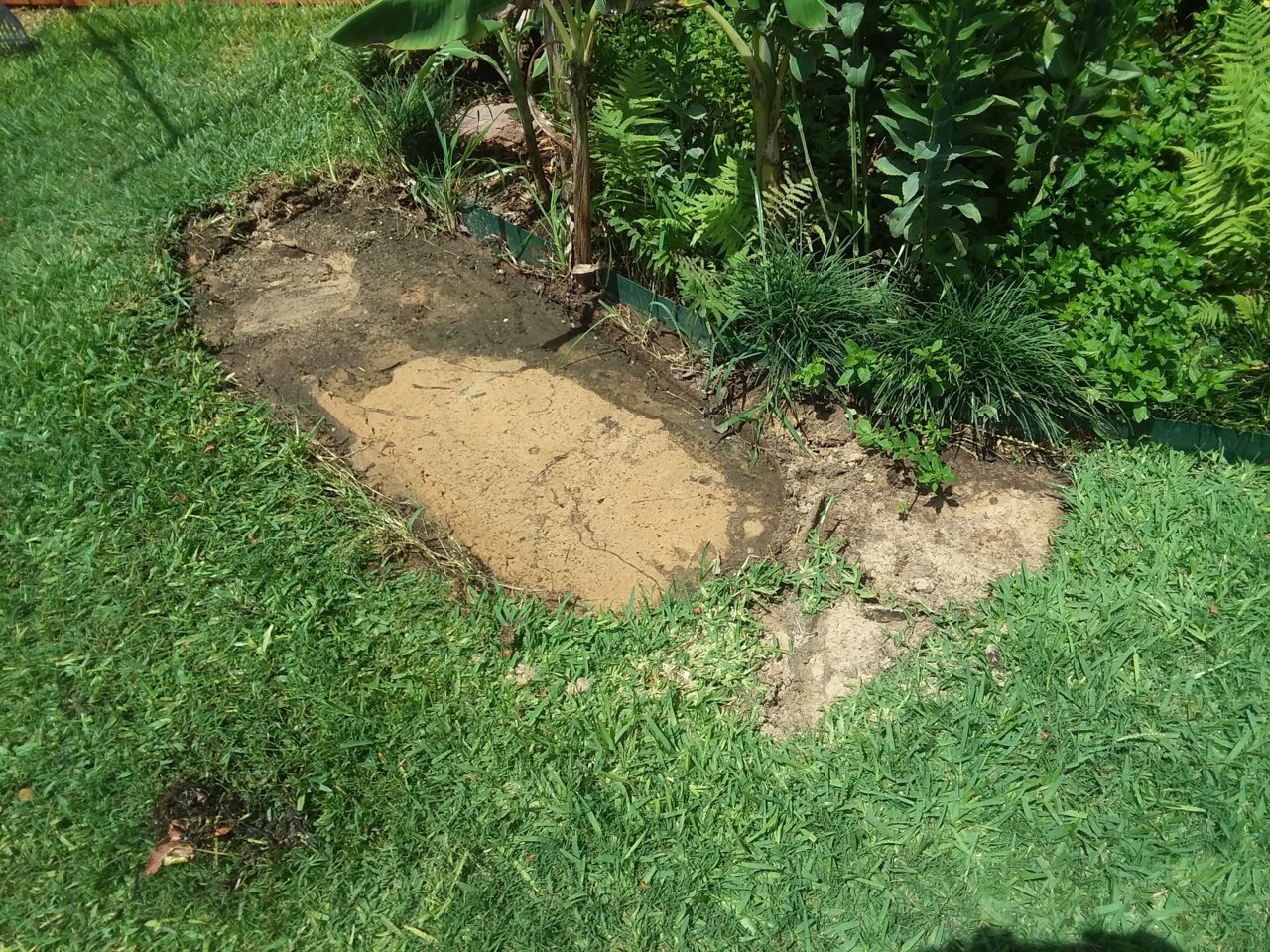 20200625_114904.jpg