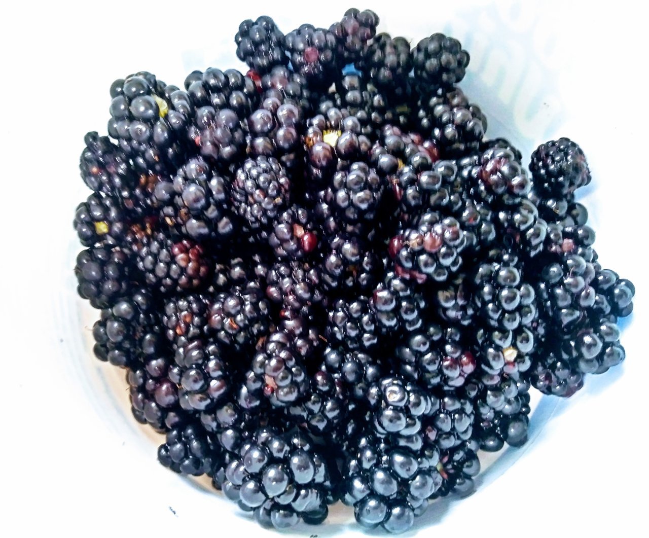 20200627_135859_HDR~2.jpg