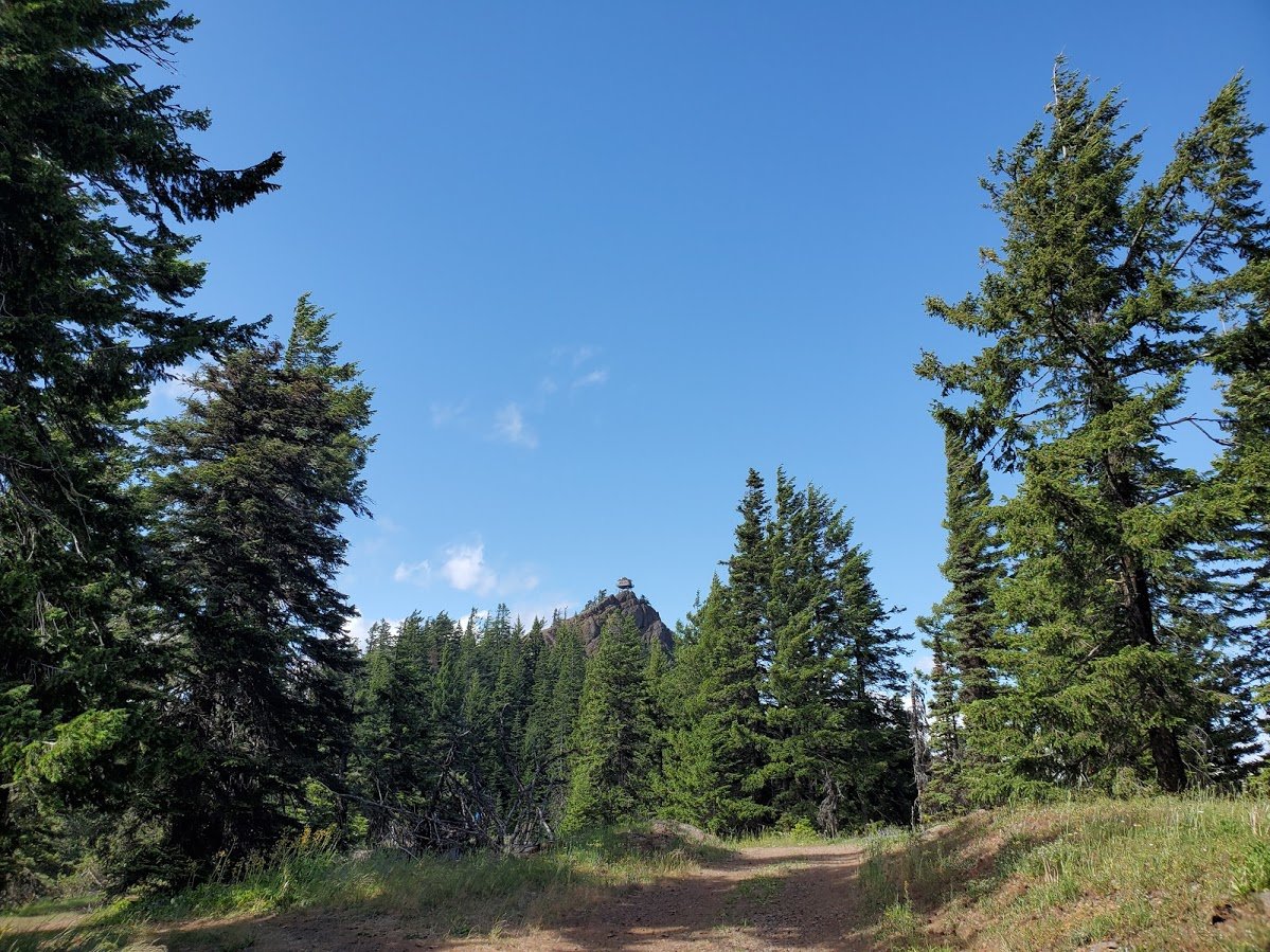 20200627_155445.jpg
