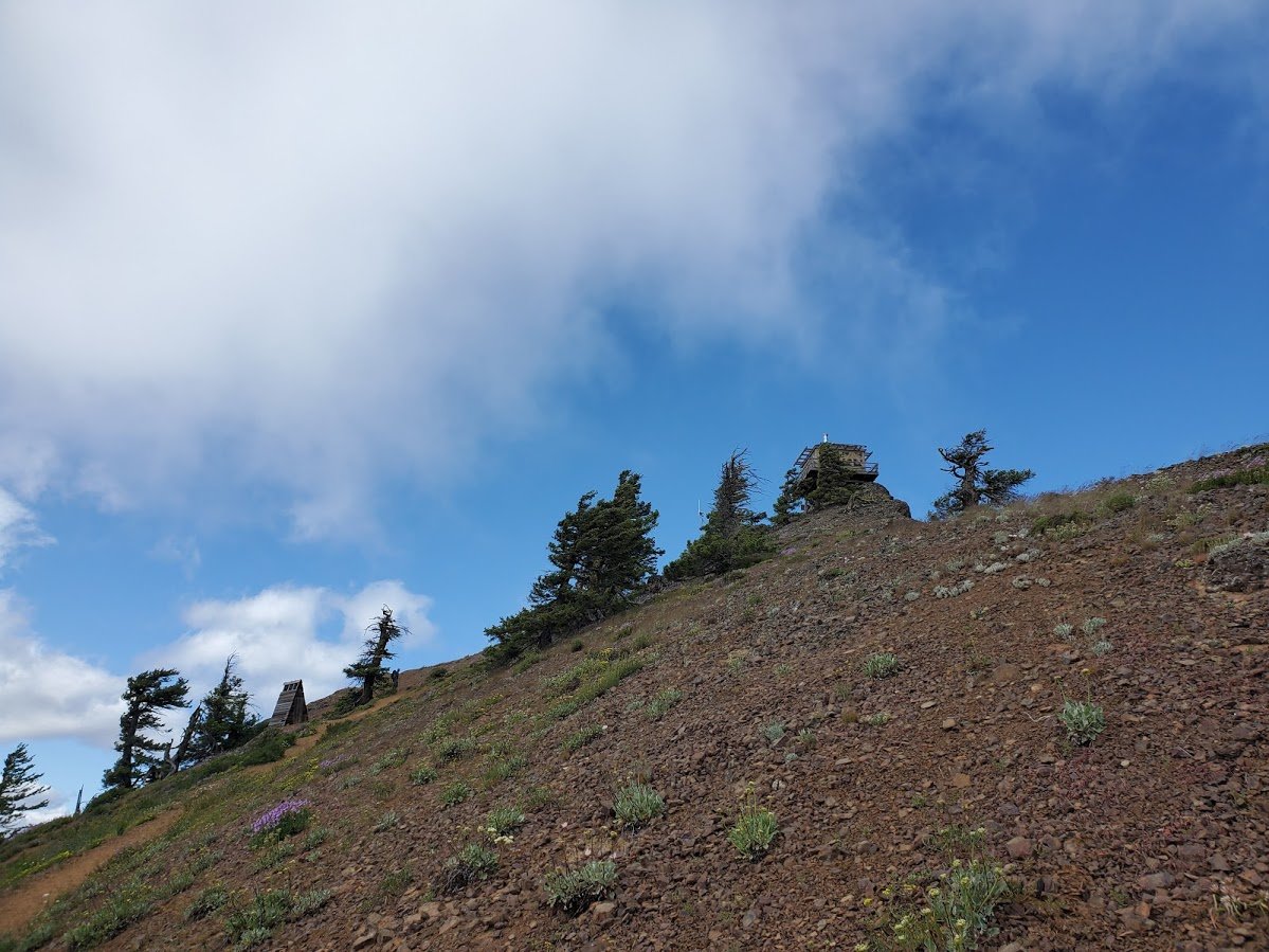 20200627_161552.jpg
