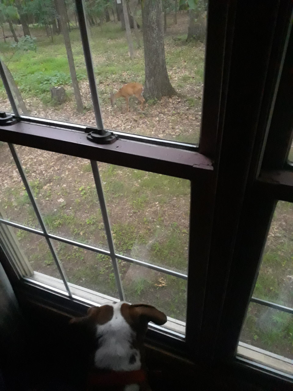 20200627_201016.jpg