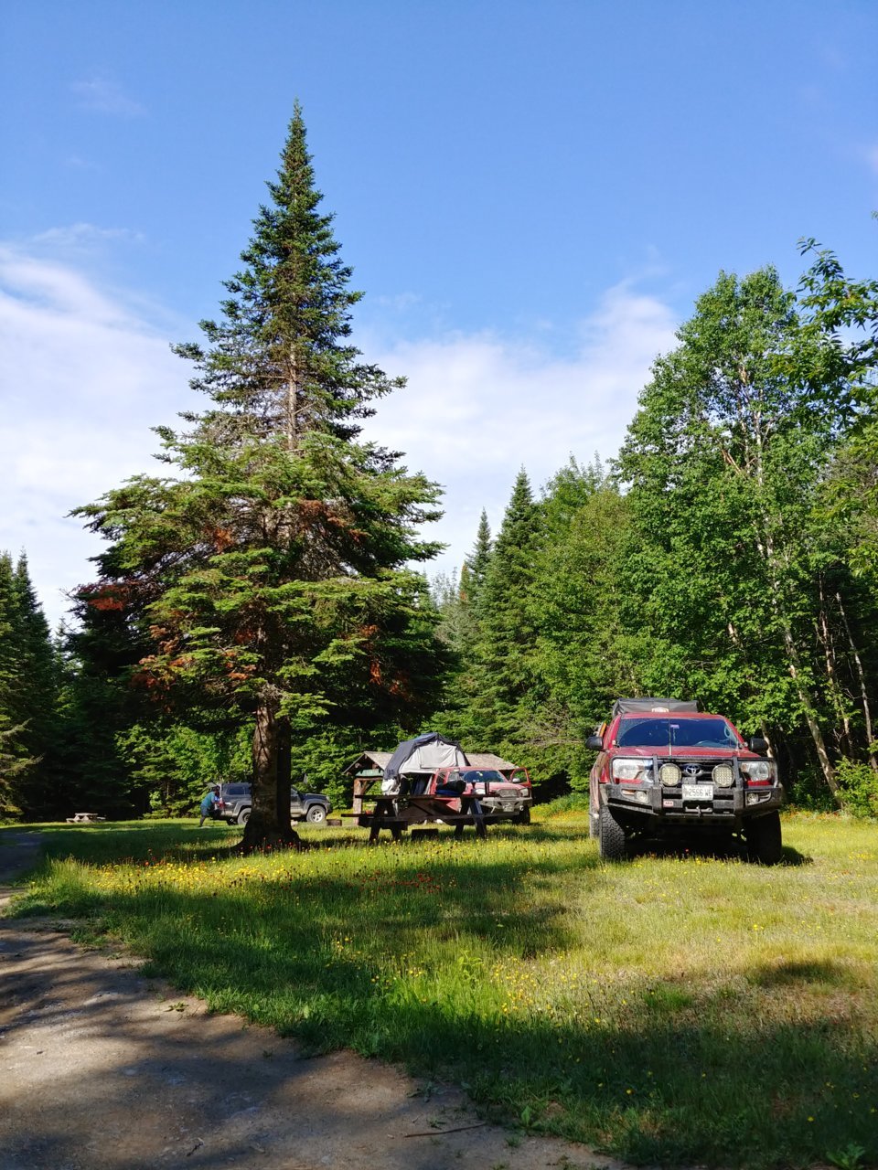20200628_090151_HDR.jpg