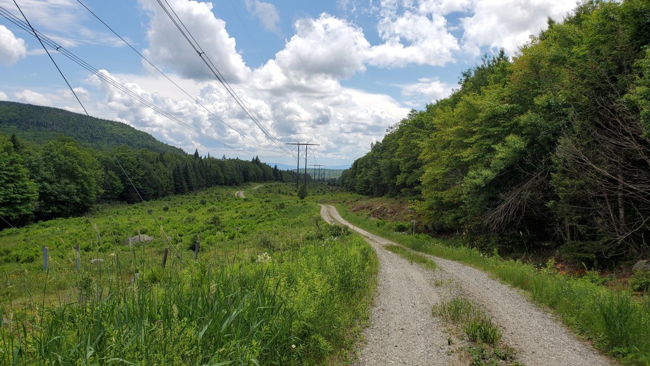 20200628_133323[1].jpg