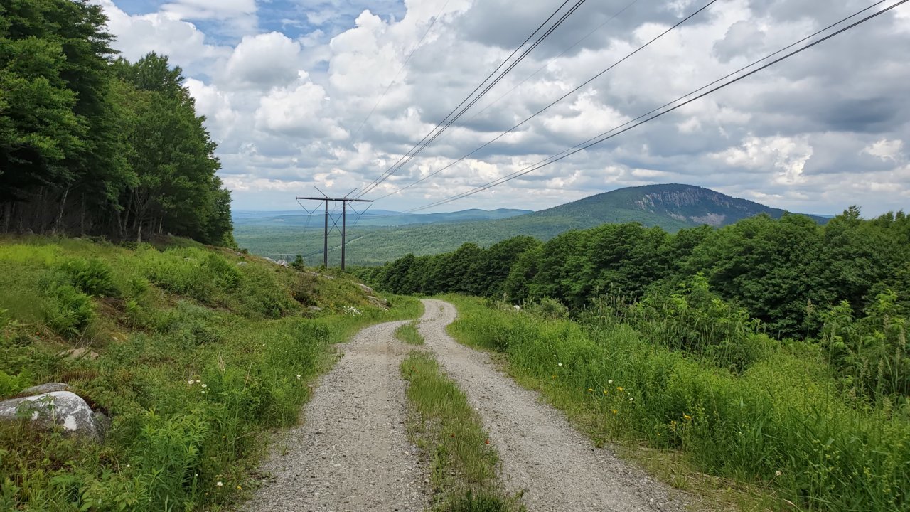 20200628_133338[1].jpg