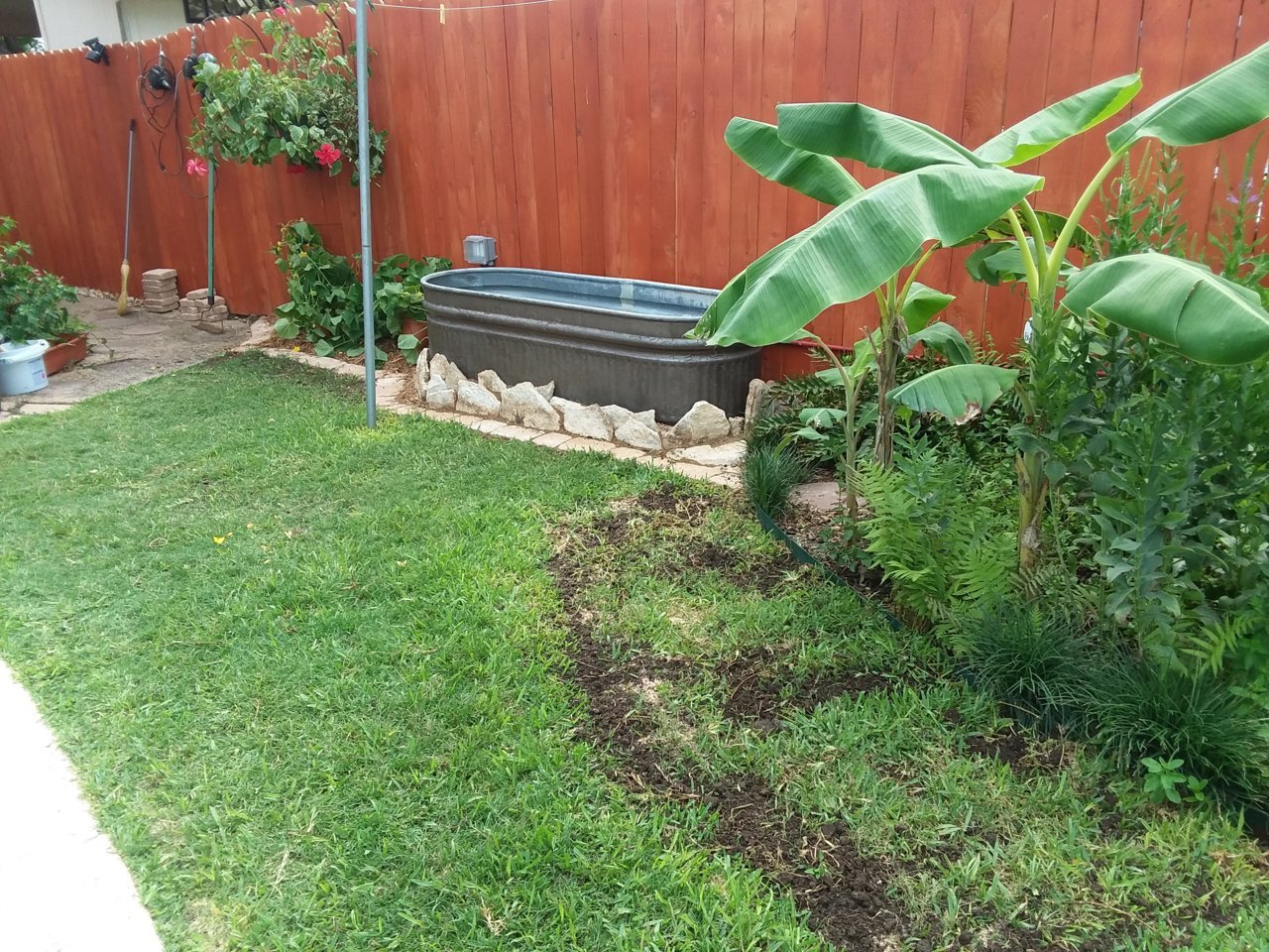 20200630_165433.jpg